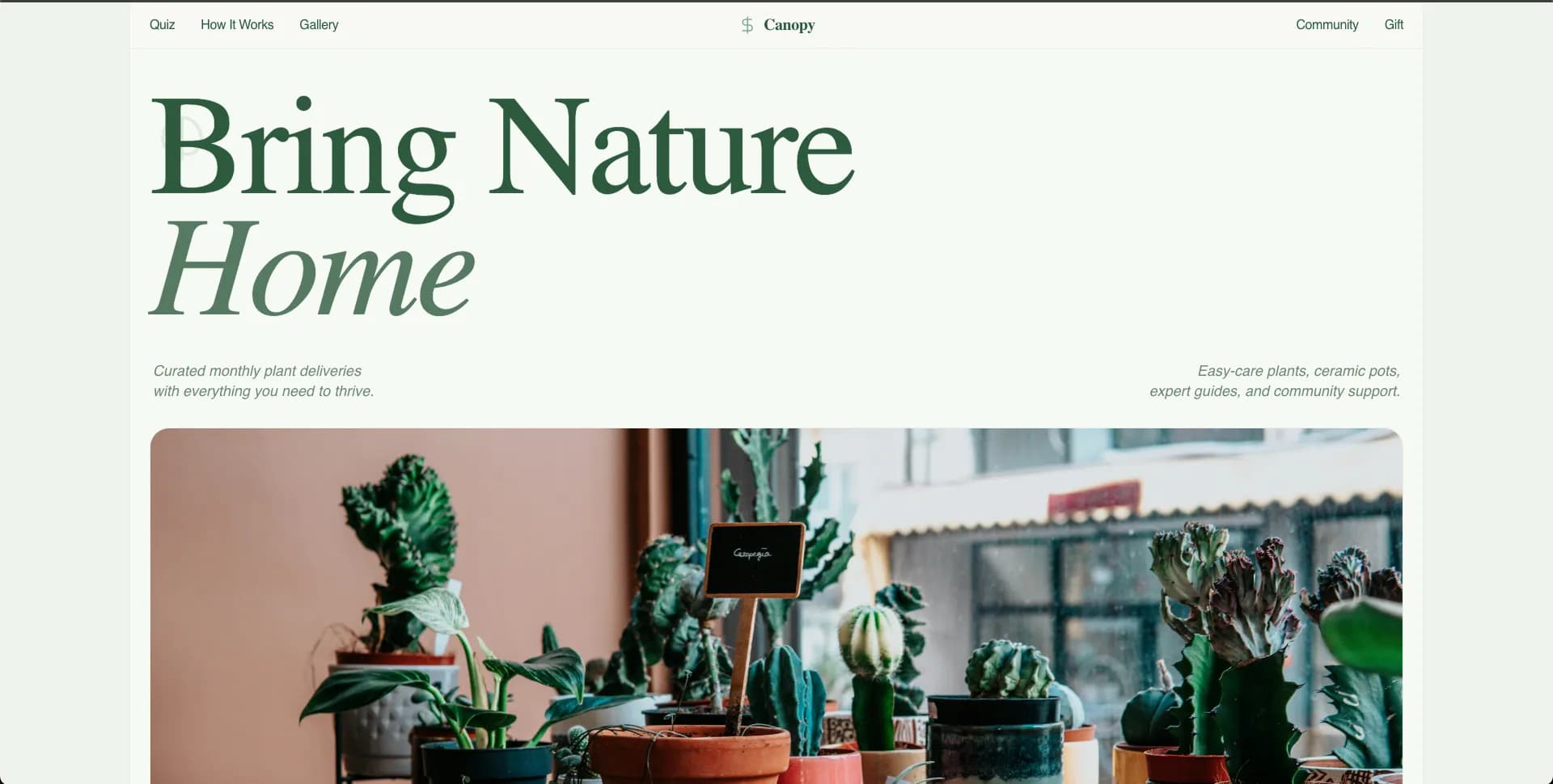 Canopy Plants