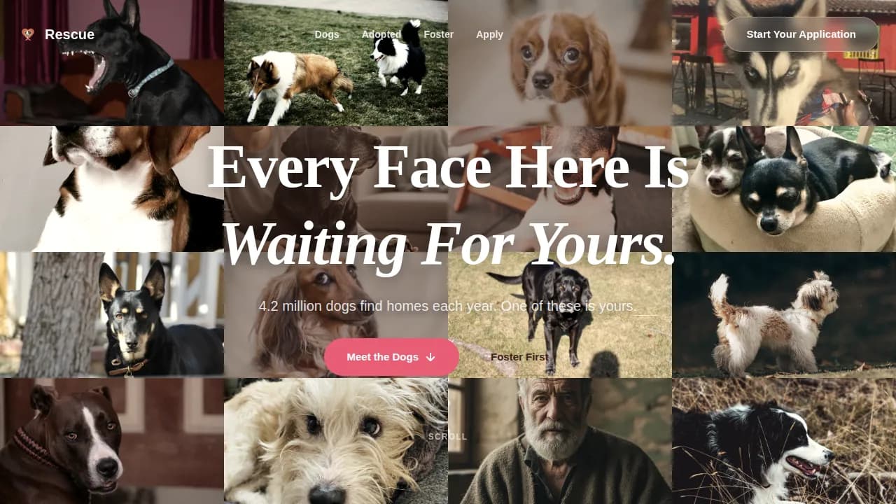 Rescue — Family Dog Adoption Landing Page Template