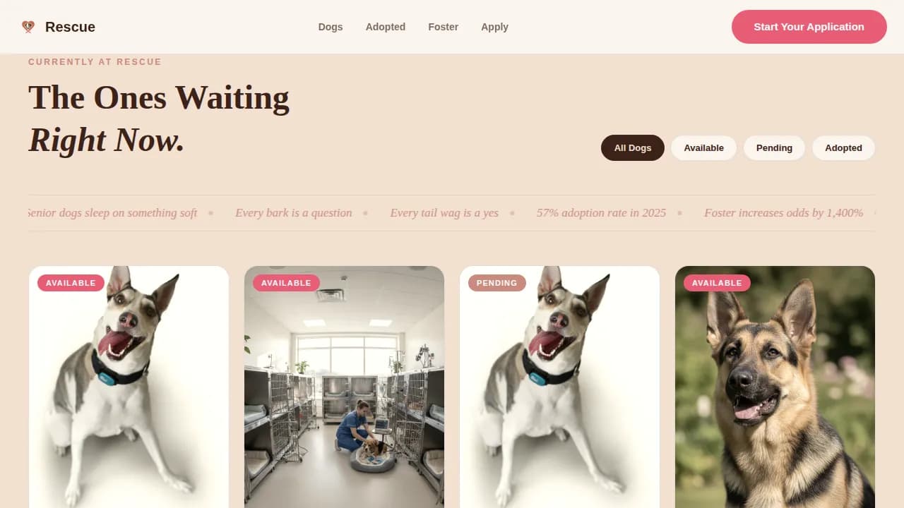 Rescue — Family Dog Adoption Landing Page Template