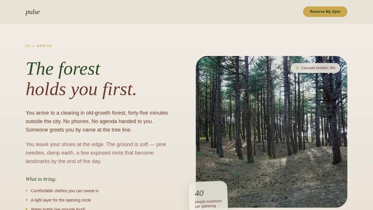 Wellness Modalities Reviews Website Template