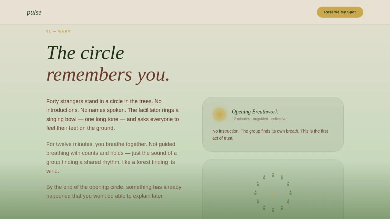 Wellness Modalities Reviews Website Template