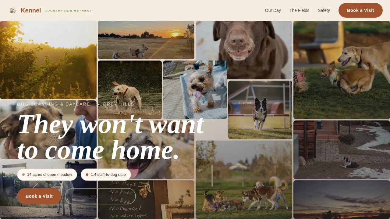 Dog Specialist Booking Website Template