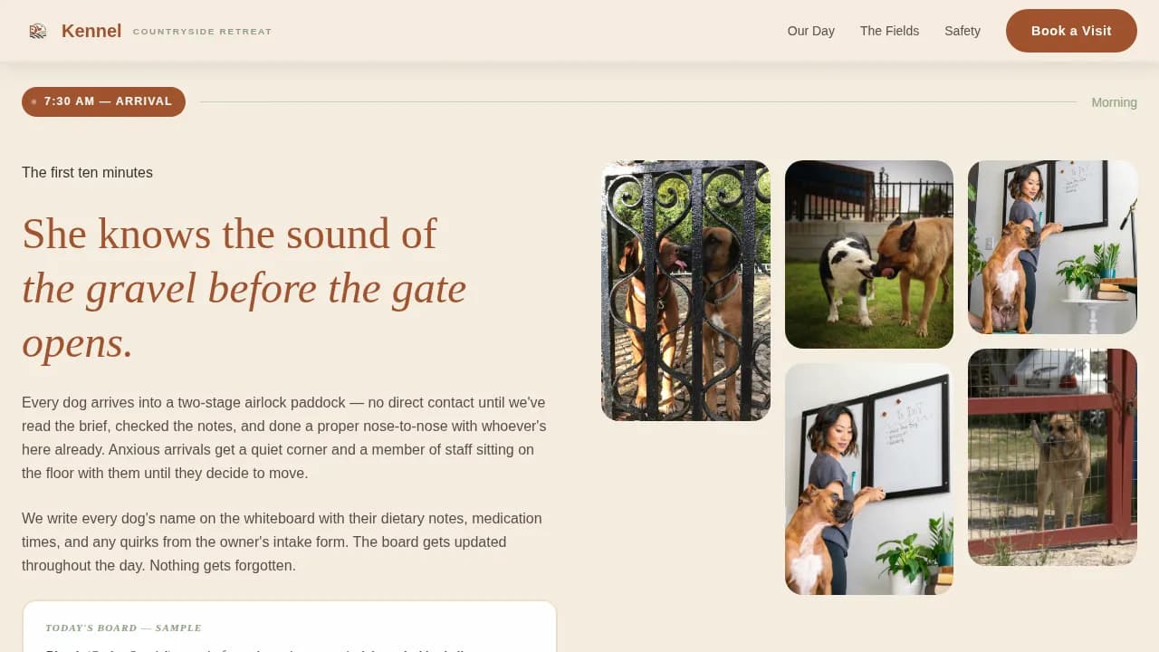 Dog Specialist Booking Website Template