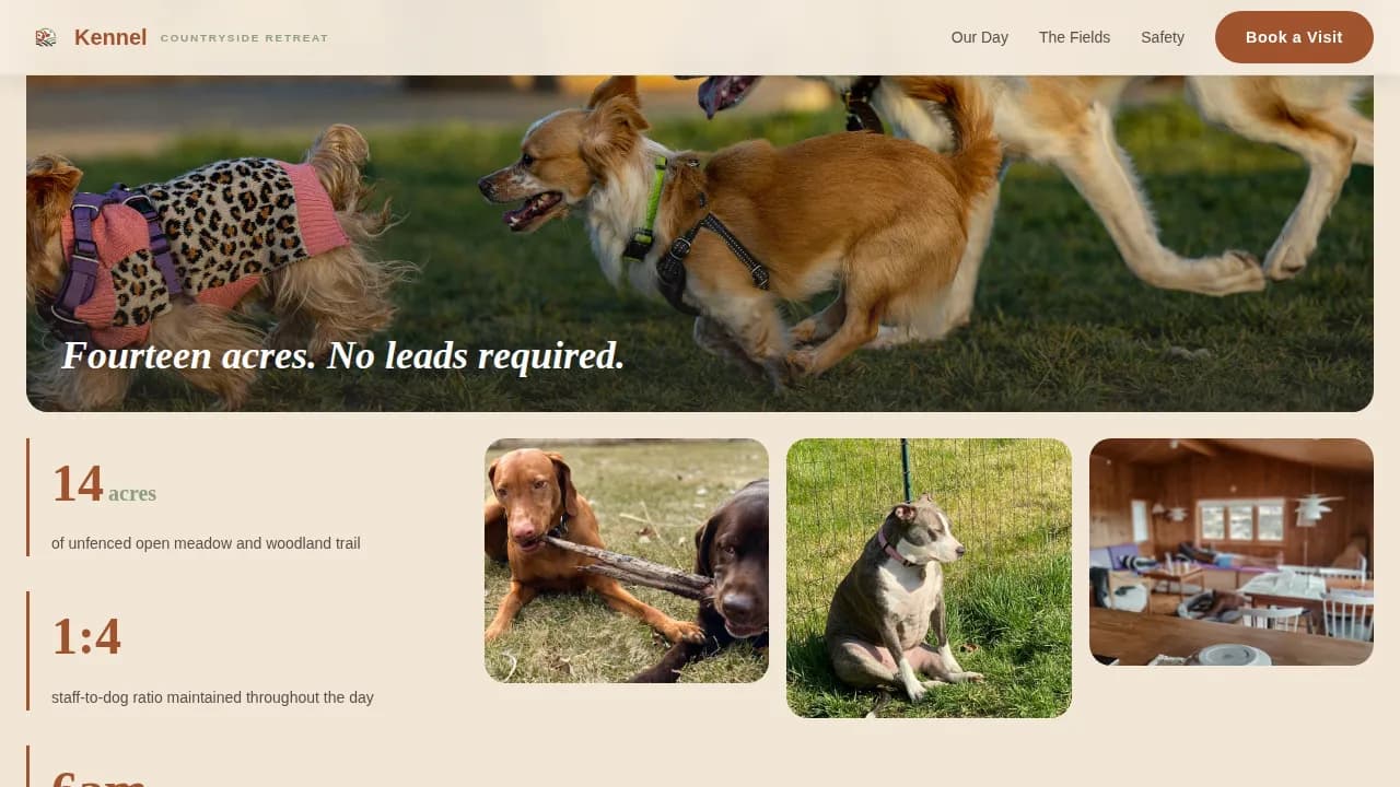 Dog Specialist Booking Website Template