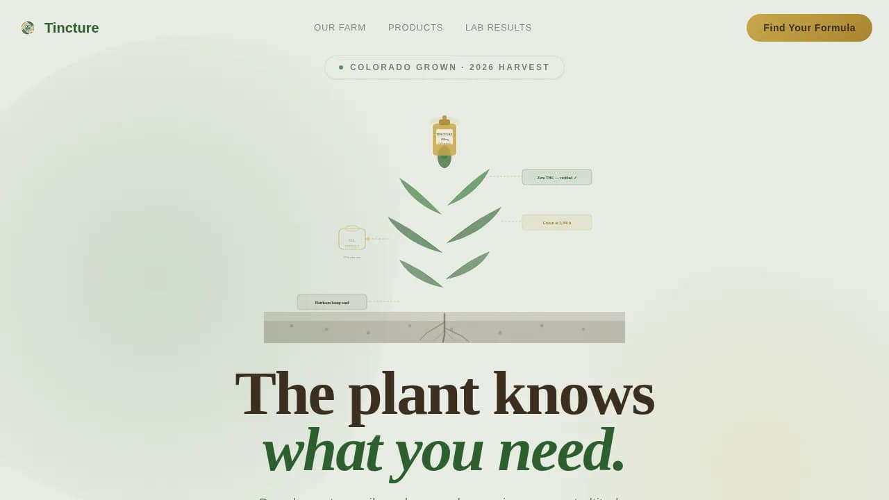 Dispensary & Retail Professional Website Template