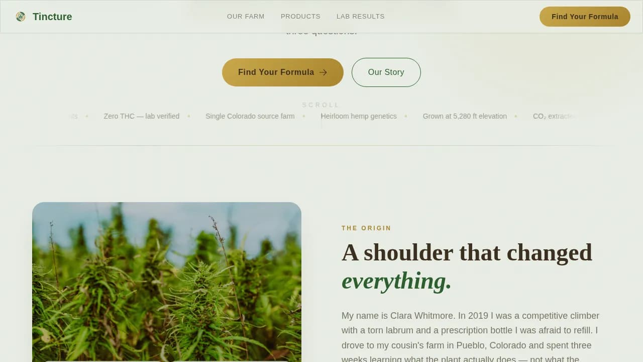 Dispensary & Retail Professional Website Template