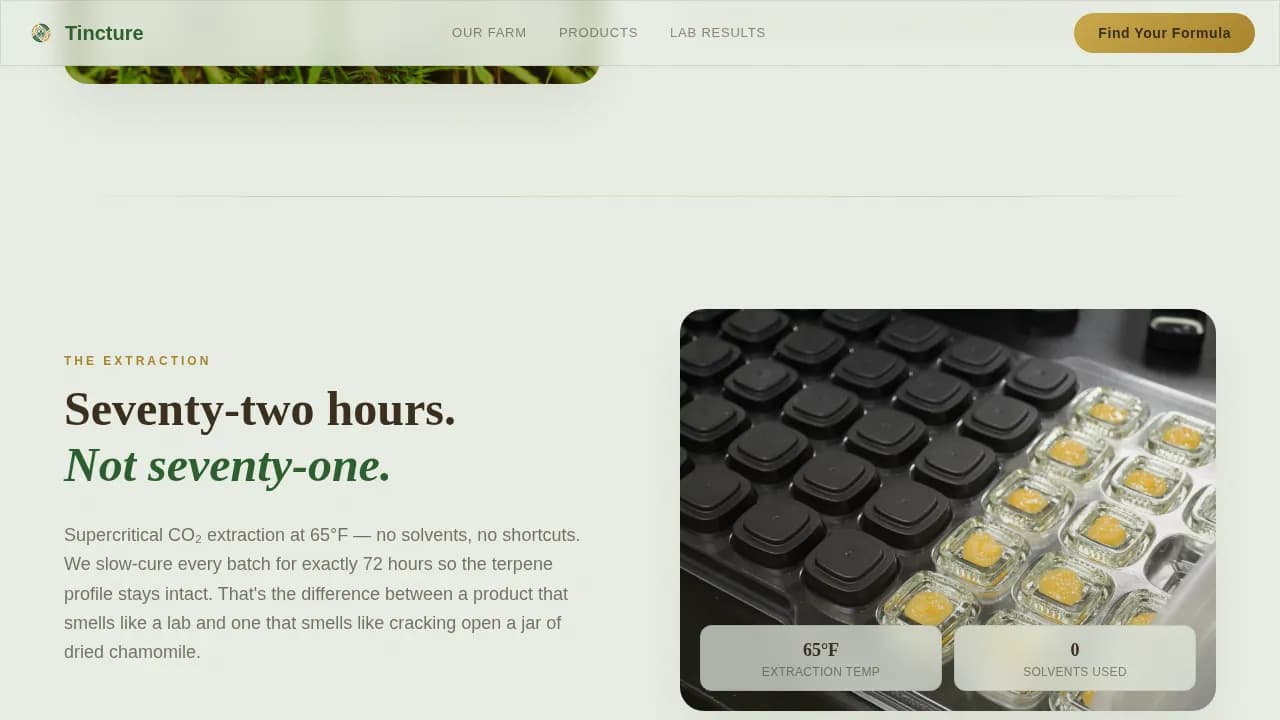 Dispensary & Retail Professional Website Template