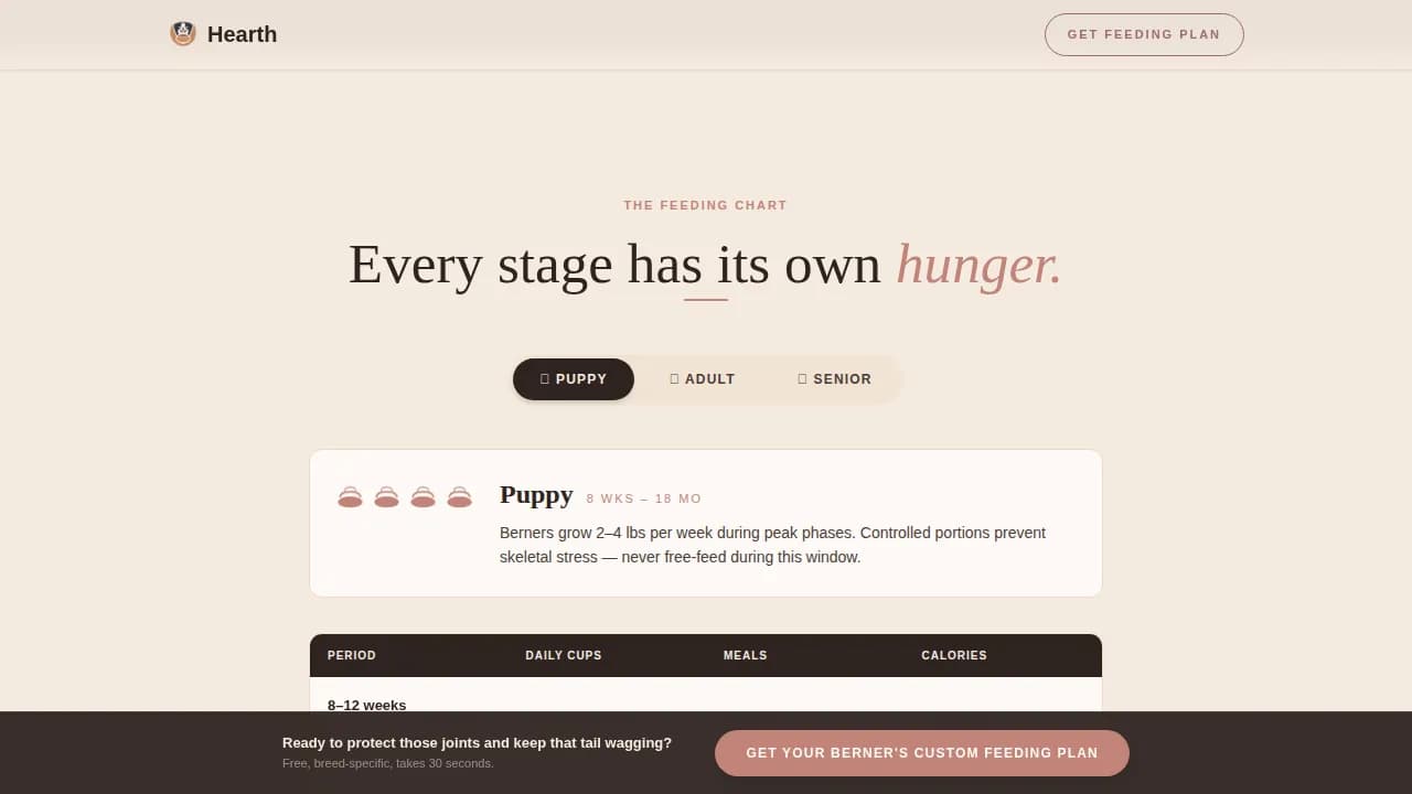 Dog Specialist Education Website Template