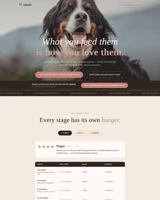 Dog Specialist Education Website Template