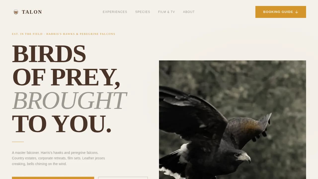 Falconer Booking Website Template