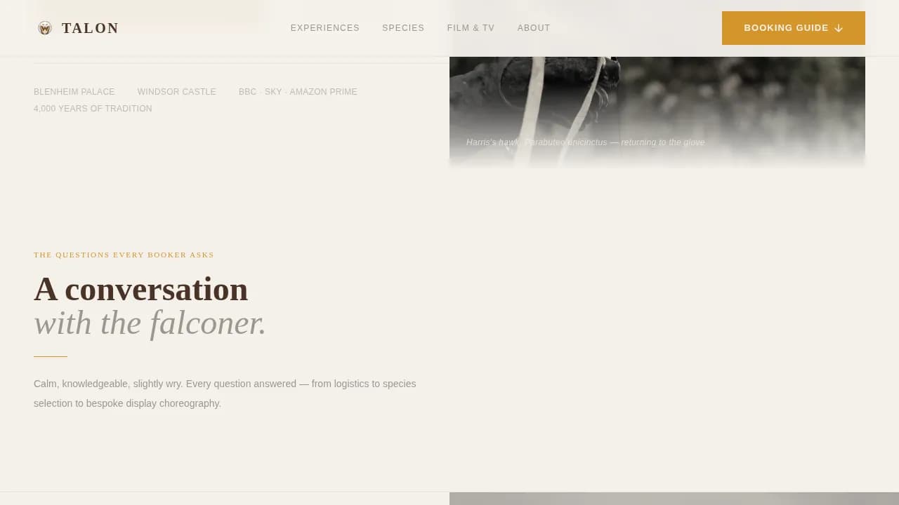 Falconer Booking Website Template