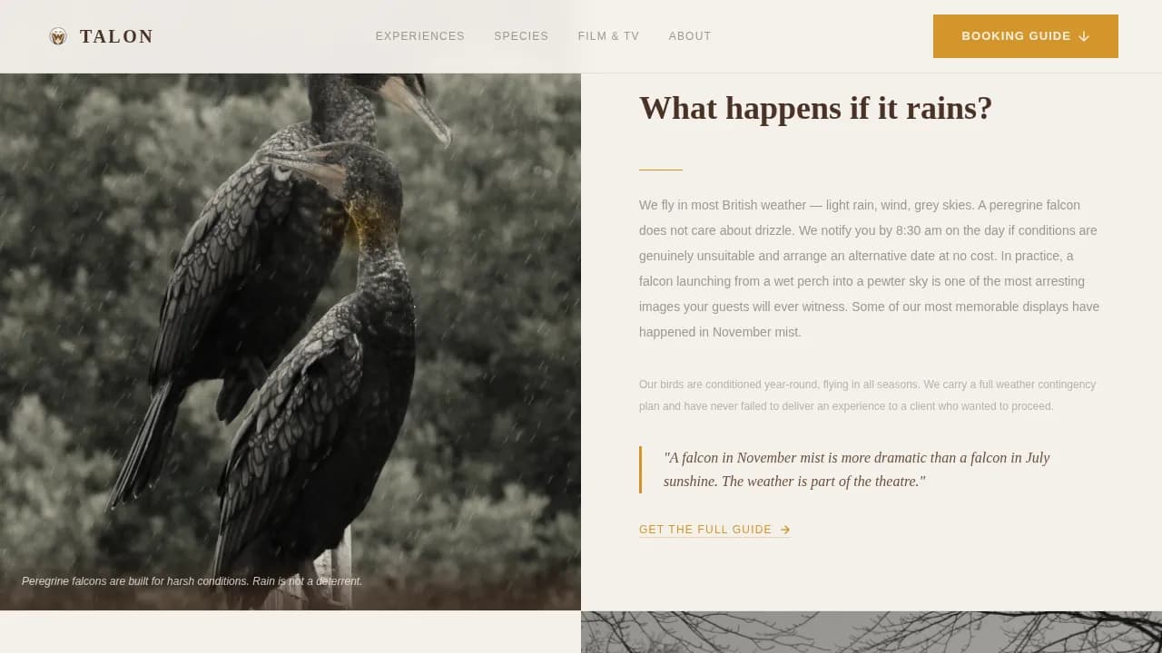 Falconer Booking Website Template