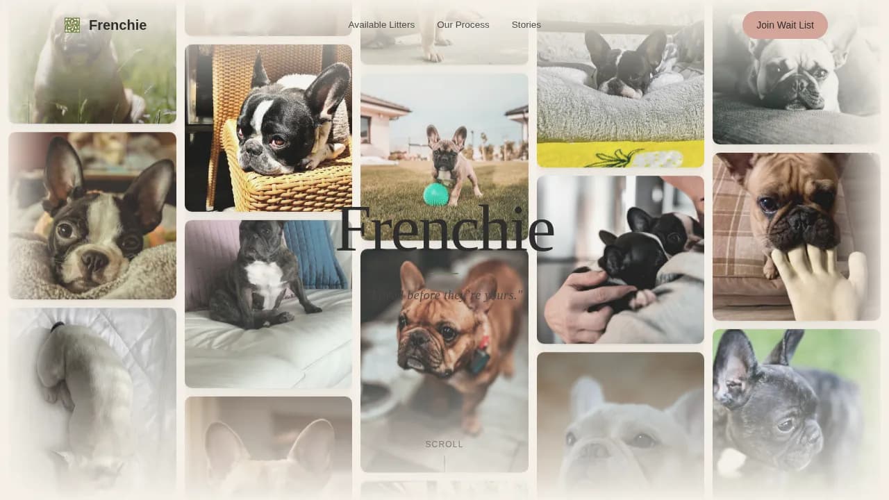 Frenchie — Elite Bulldog Breeder Landing Page Template