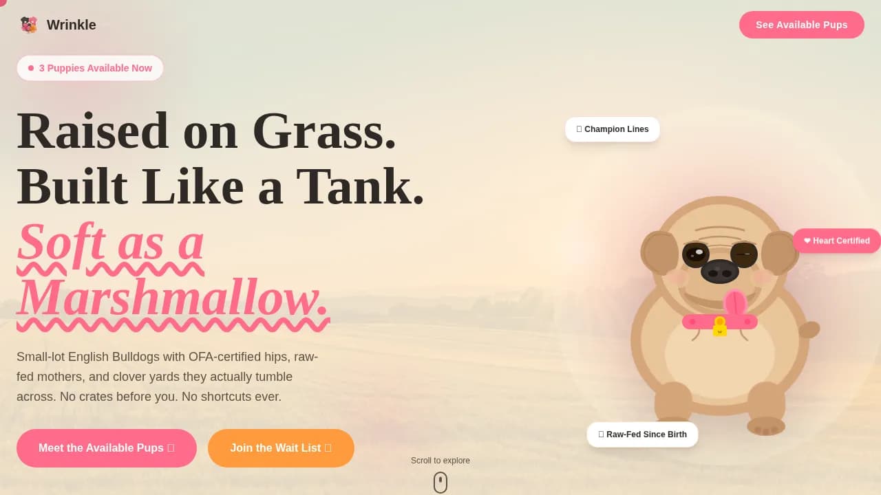 Dog Advanced Pre-Launch Website Template
