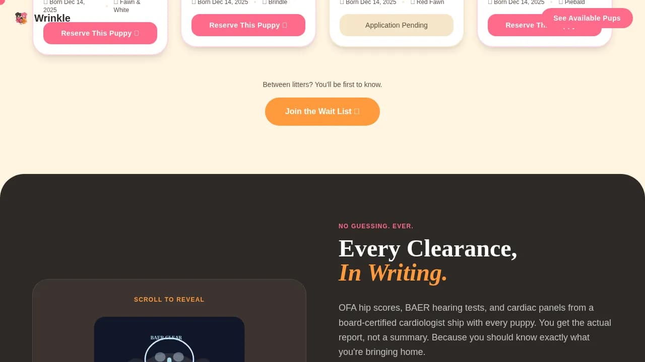 Dog Advanced Pre-Launch Website Template