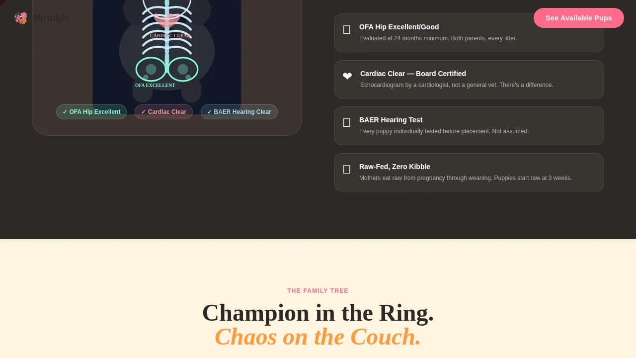 Dog Advanced Pre-Launch Website Template