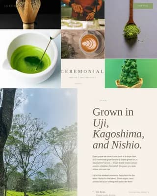 Ceremonial — Premium Matcha Café Landing Page Template