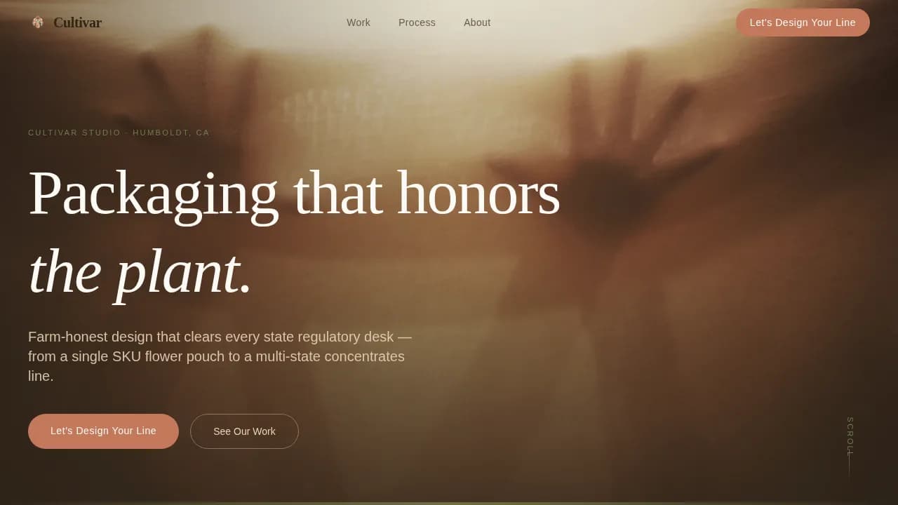 Cannabis Industry Services Privacy Policy & Terms Website Template