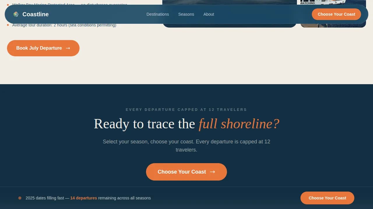 South Africa Travel Appointment Booking Website Template