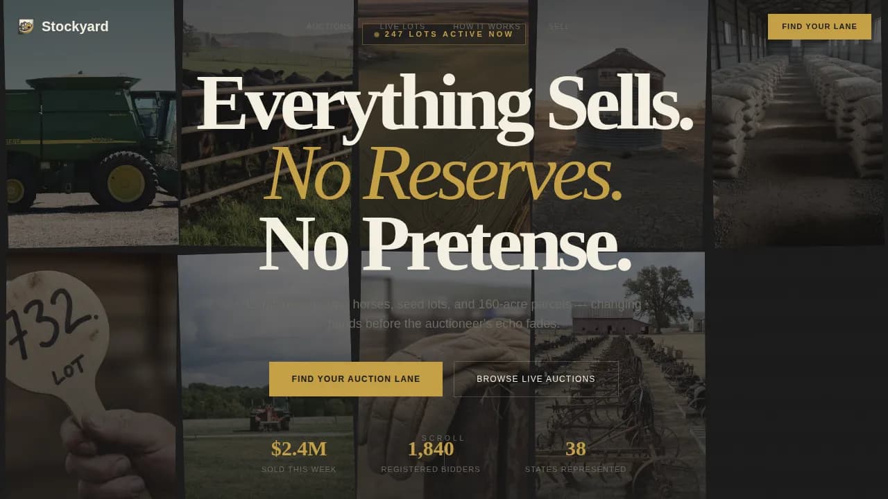 Specialist Auction Platforms & Types Comparison Website Template