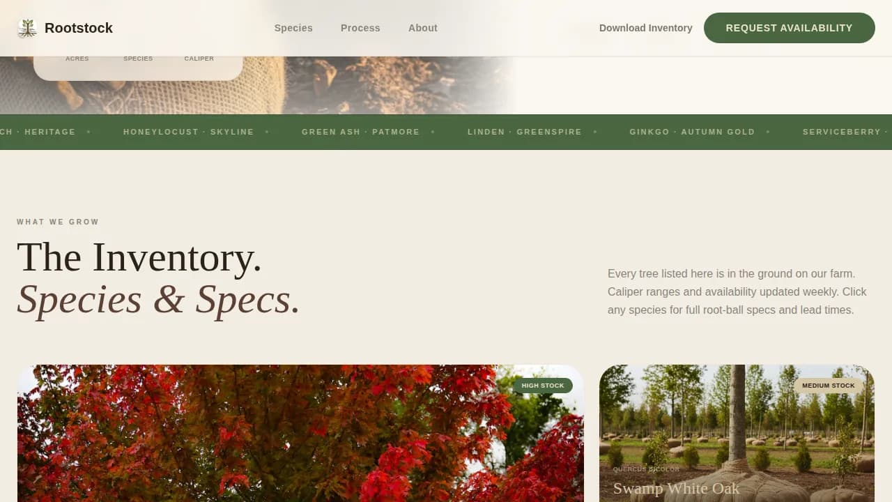 Nursery & Plant Farm Professional Website Template