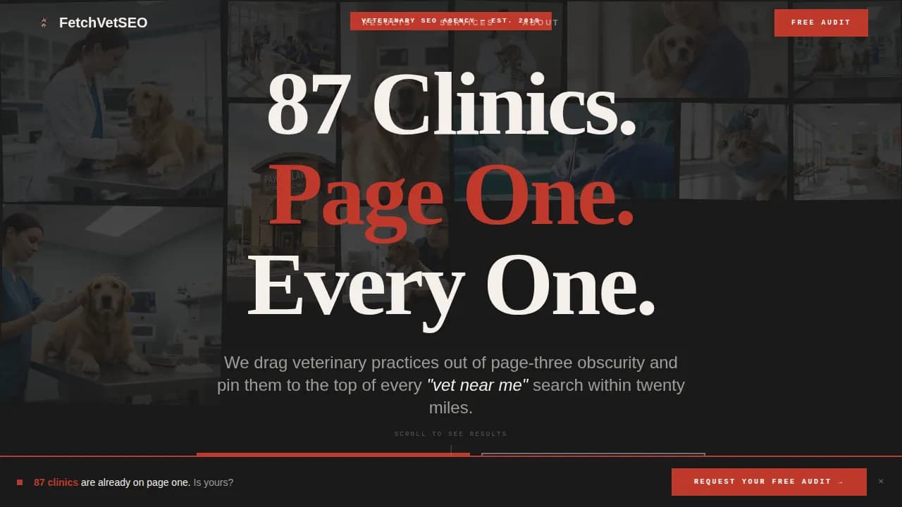Veterinary Marketing & Agency Reviews Website Template