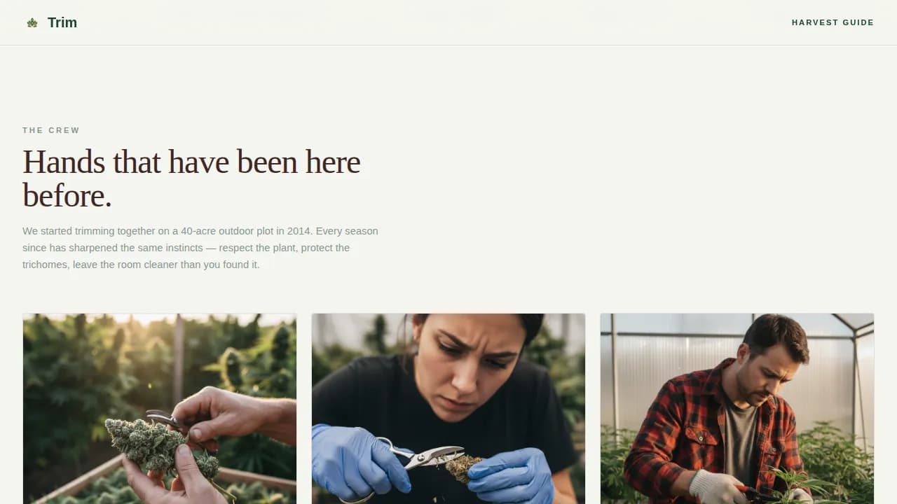 Certified Cannabis Industry Services Professional Website Template