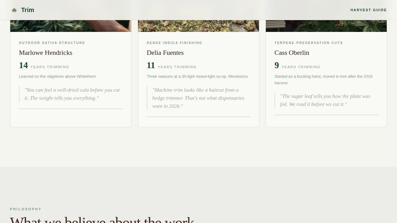 Certified Cannabis Industry Services Professional Website Template