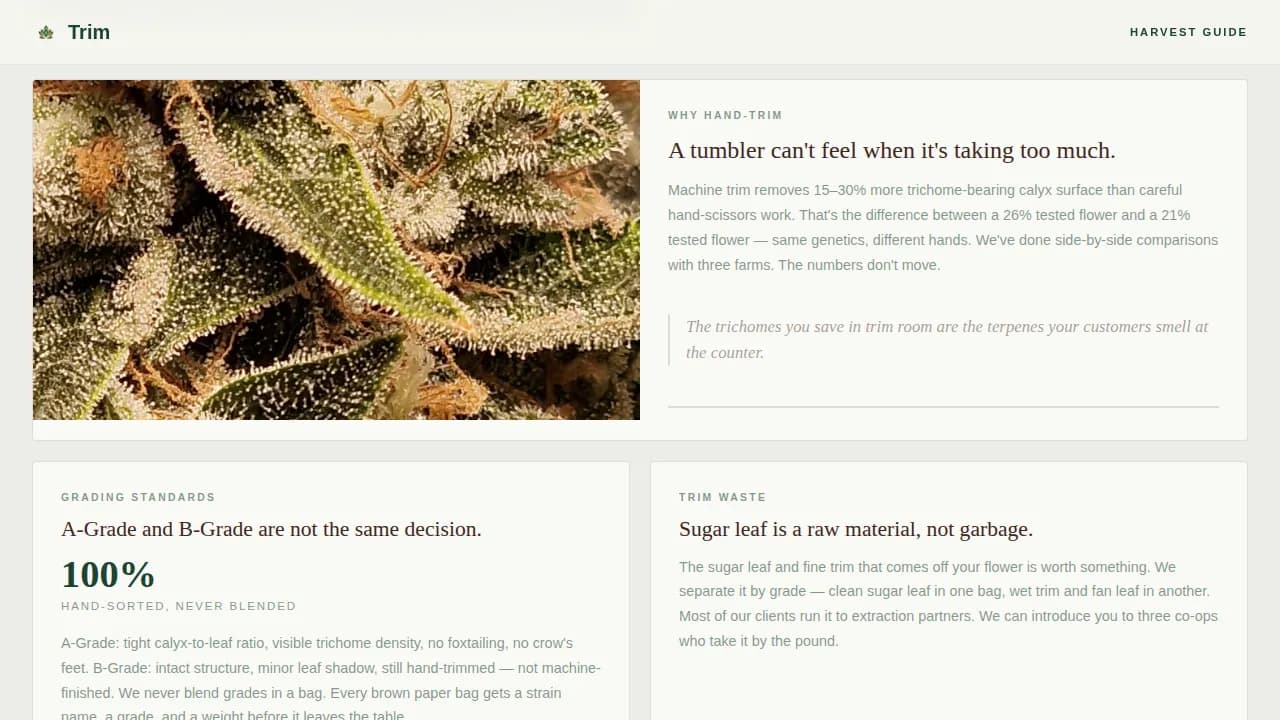 Certified Cannabis Industry Services Professional Website Template