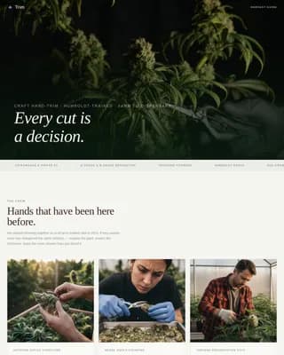 Certified Cannabis Industry Services Professional Website Template