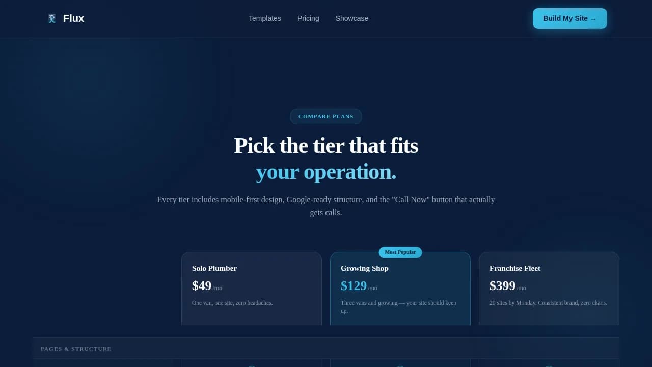 Plumbing Digital Presence Reviews Website Template