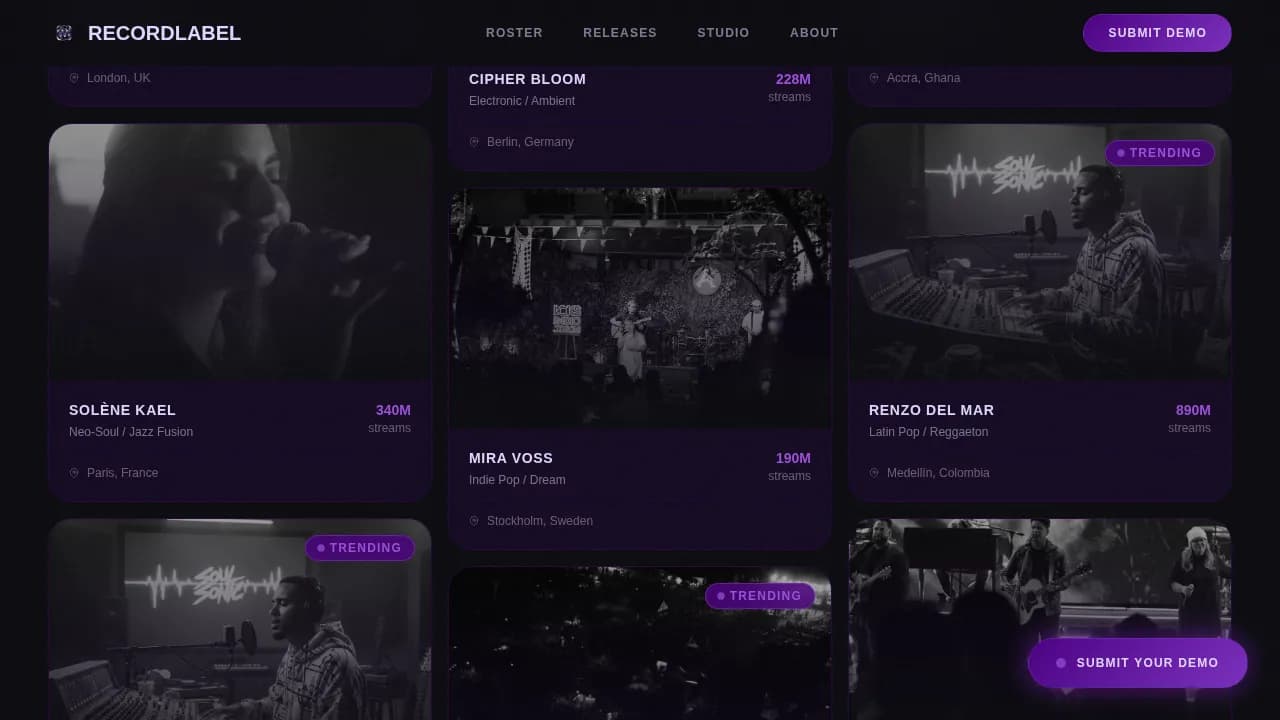 Record Label & Music Company Professional Website Template
