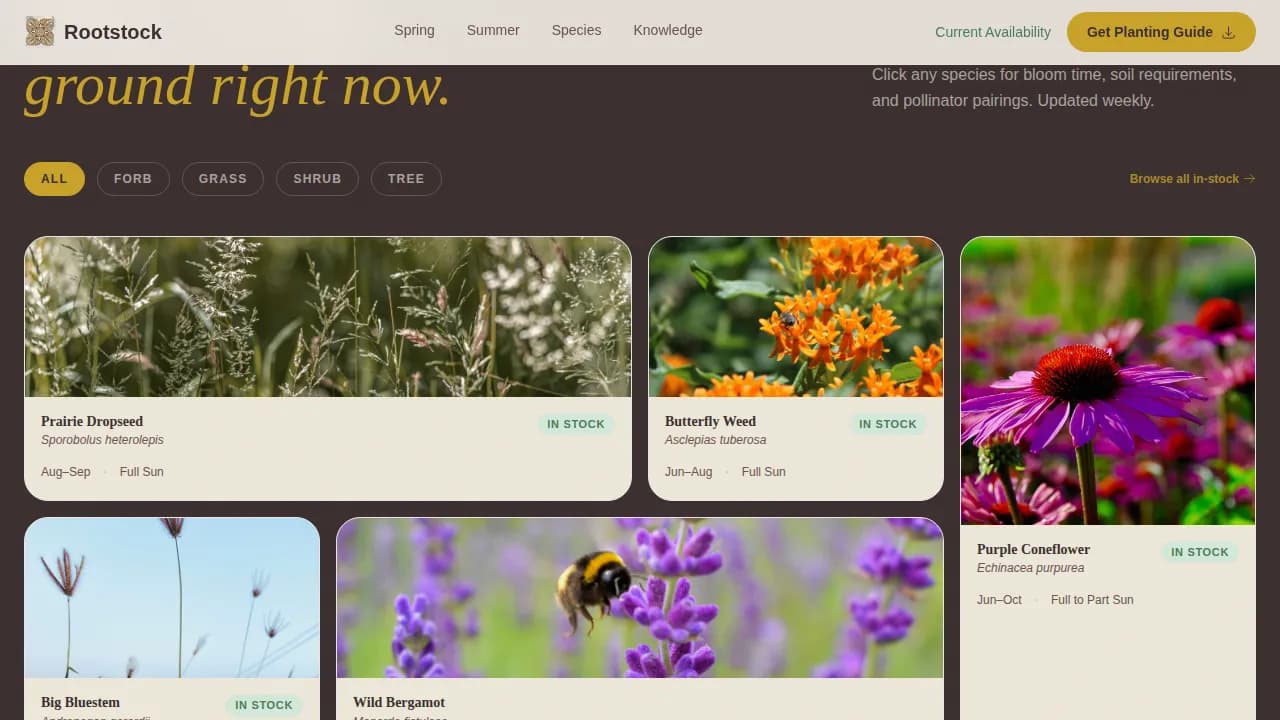 Advanced Nursery & Plant Farm Portfolio & Case Study Website Template