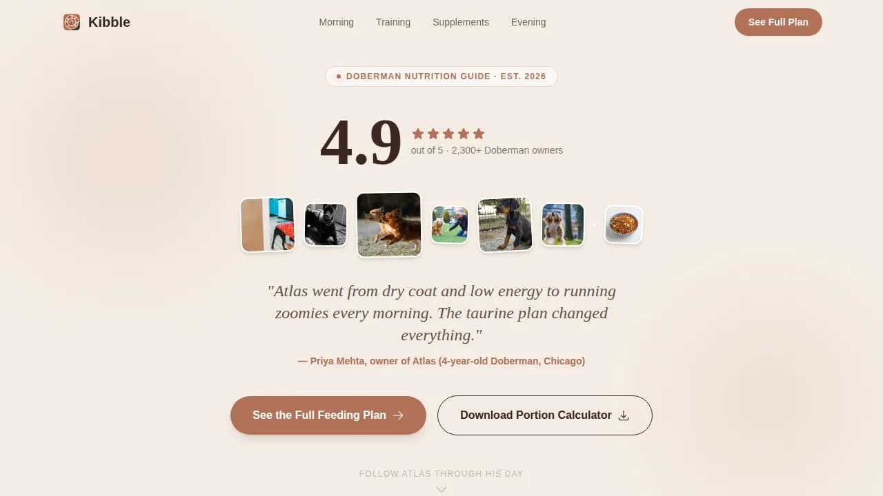 Doberman Reviews Website Template