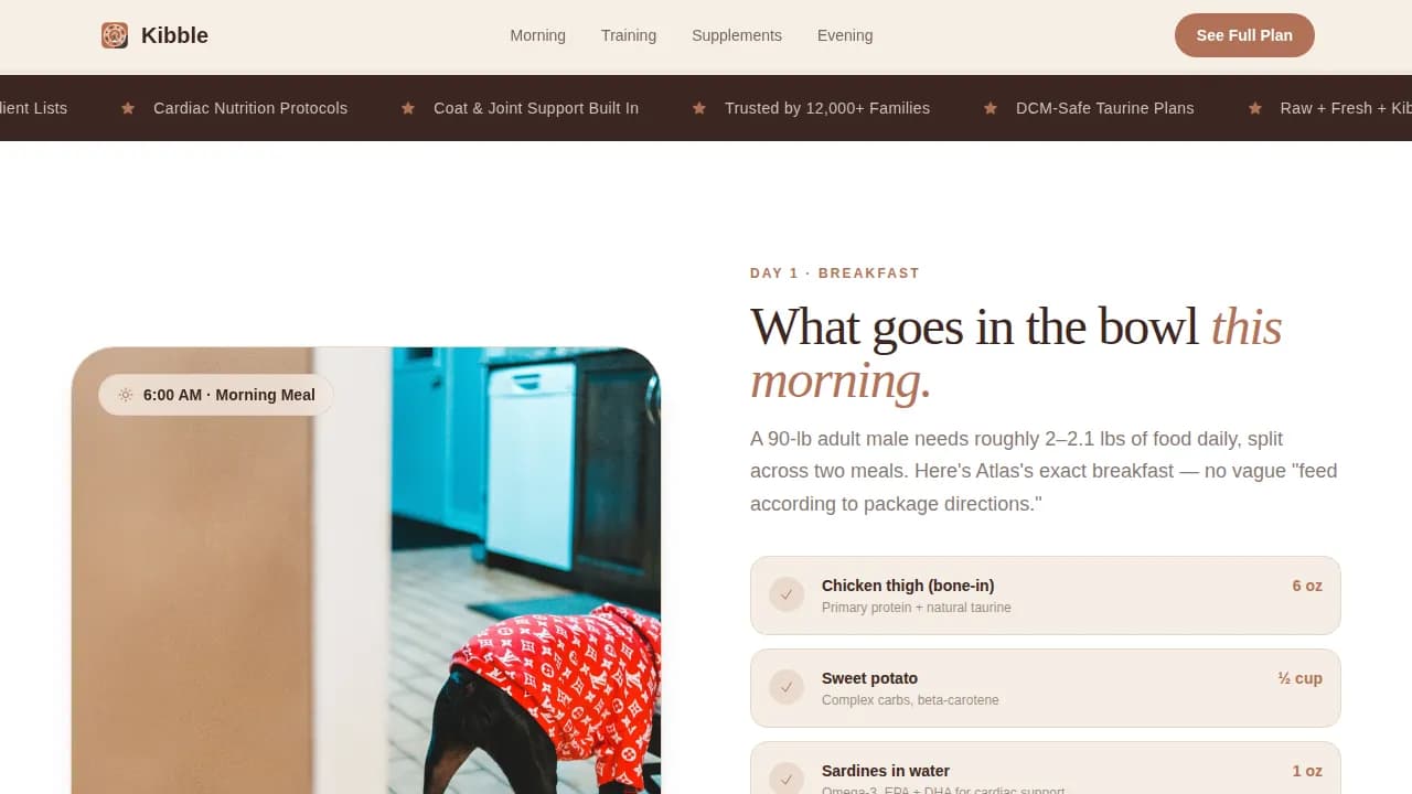 Doberman Reviews Website Template