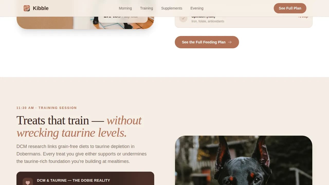 Doberman Reviews Website Template