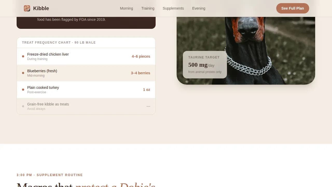 Doberman Reviews Website Template