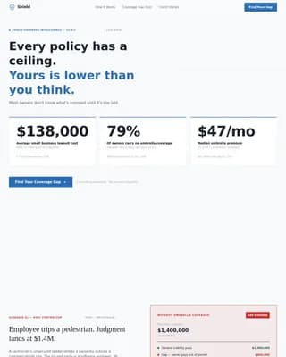 Small Business Owner Insurance Professional Website Template