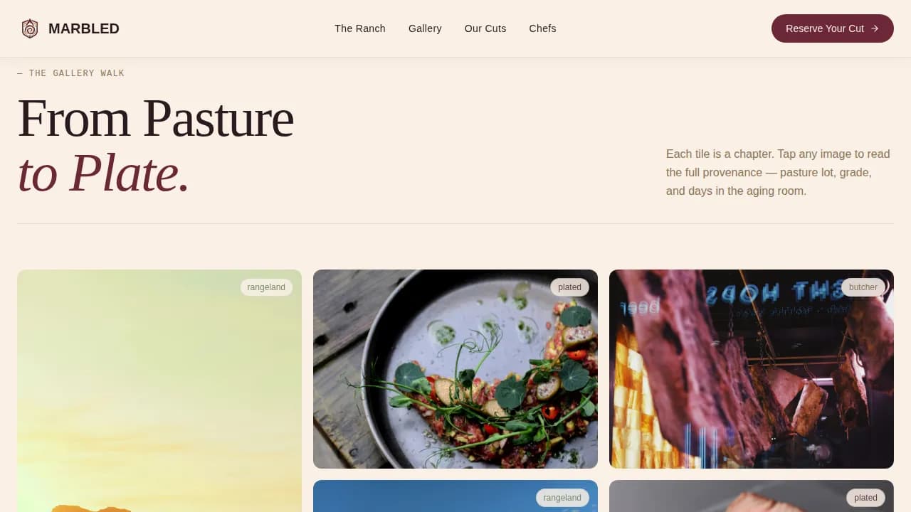 Advanced Meat & Seafood Portfolio & Case Study Website Template