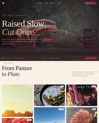 Advanced Meat & Seafood Portfolio & Case Study Website Template