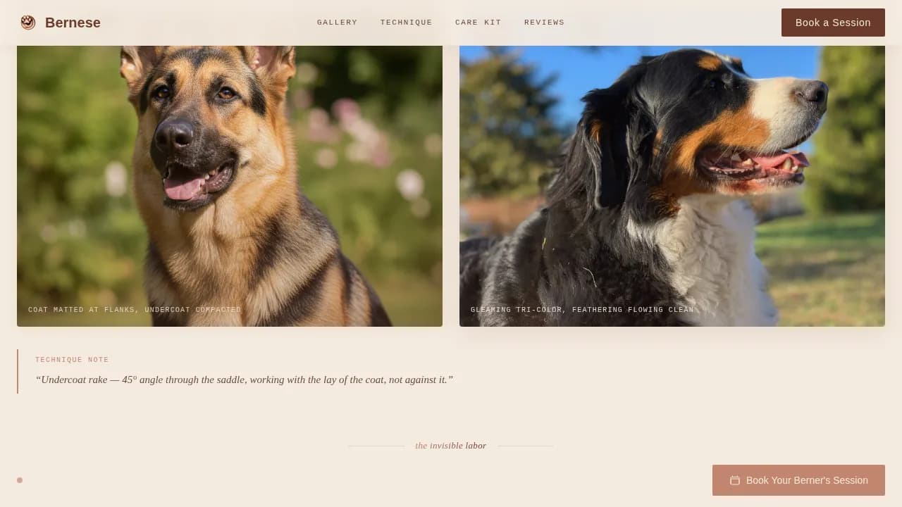 Dog Expert Booking Website Template
