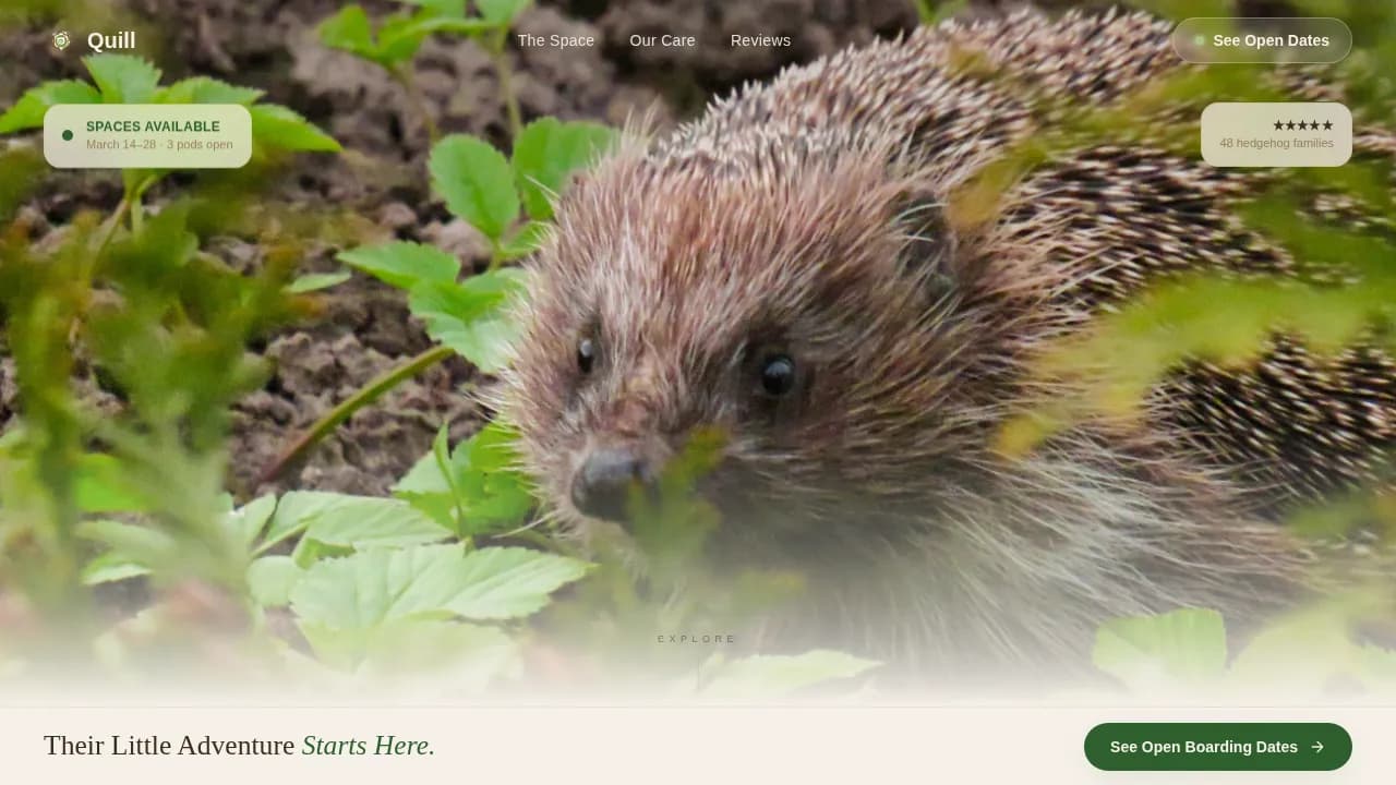 Hedgehog Booking Website Template