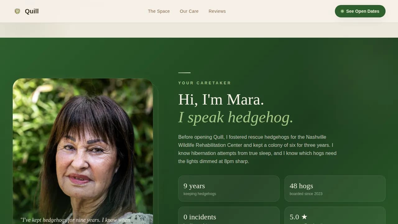 Hedgehog Booking Website Template