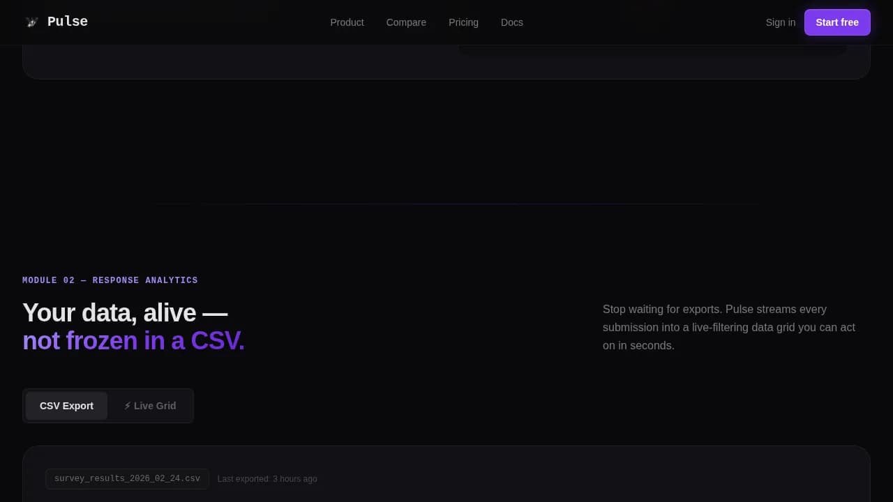 Local Micro-SaaS & Developer Tools Comparison Website Template
