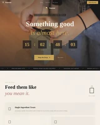 Pawshop — Curated Pet Retail Landing Page Template