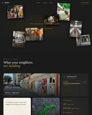 Certified Charity & Fundraiser Profile Professional Website Template