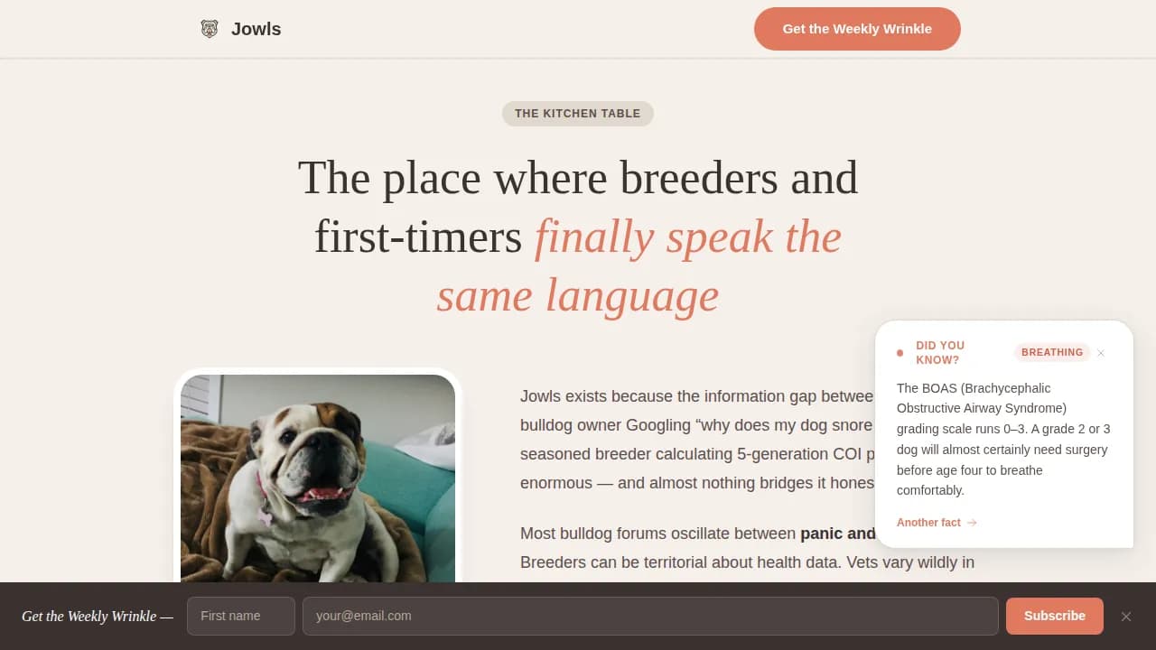 Dog Specialist Blog Website Template