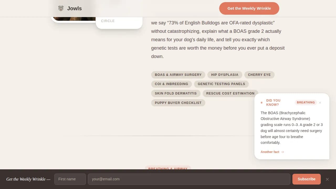 Dog Specialist Blog Website Template