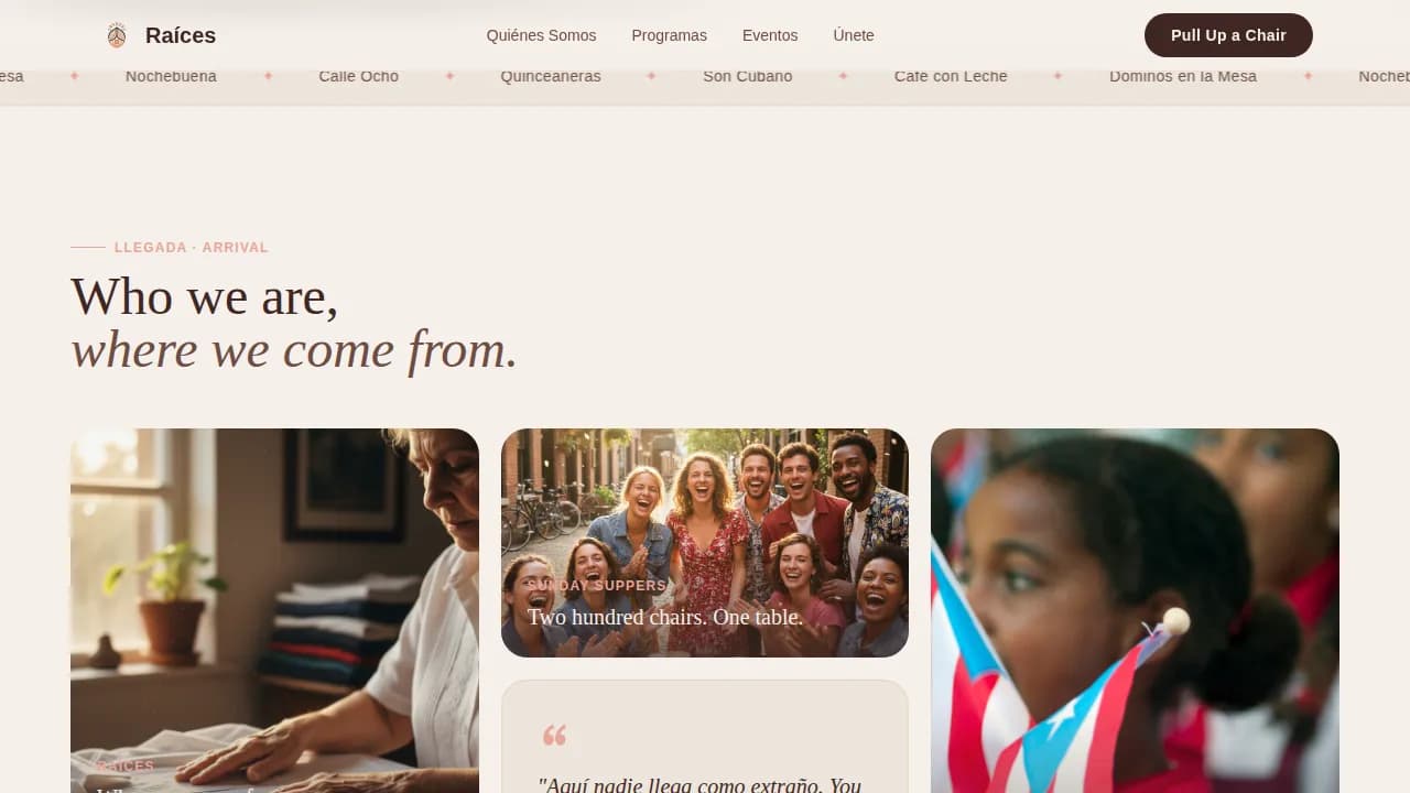 Specialist Latin American Community Professional Website Template