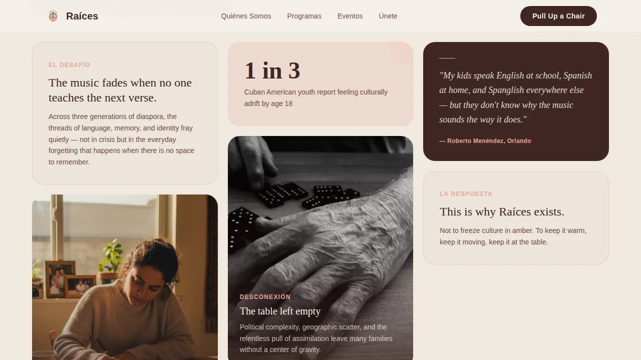 Specialist Latin American Community Professional Website Template